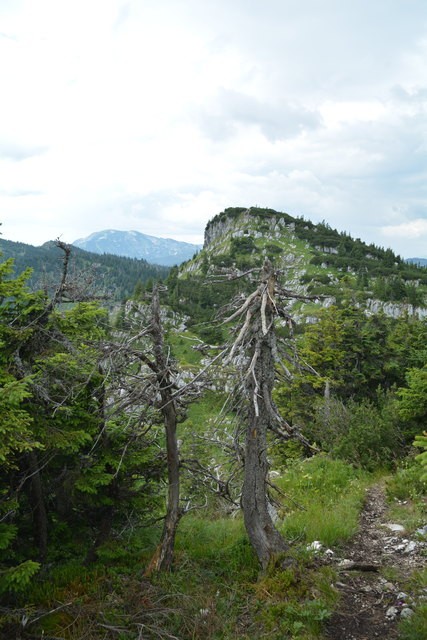 Tour auf den Scheiblingstein: Redakteur Roland Mayr war mit unserem wandernden Regionauten Franz Sturmlechner unterwegs.