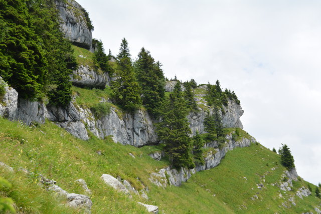 Tour auf den Scheiblingstein: Redakteur Roland Mayr war mit unserem wandernden Regionauten Franz Sturmlechner unterwegs.