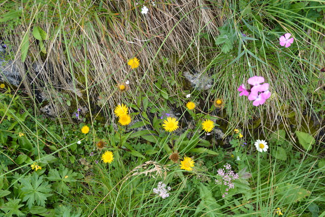 Tour auf den Scheiblingstein: Redakteur Roland Mayr war mit unserem wandernden Regionauten Franz Sturmlechner unterwegs.