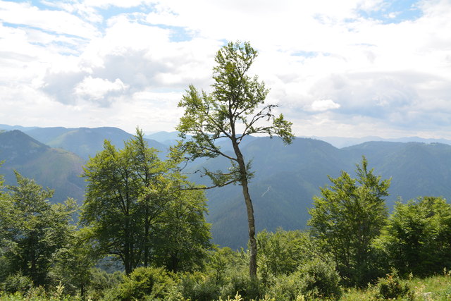 Tour auf den Scheiblingstein: Redakteur Roland Mayr war mit unserem wandernden Regionauten Franz Sturmlechner unterwegs.