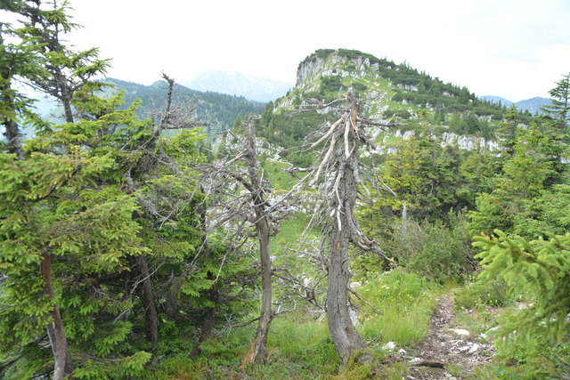 Tour auf den Scheiblingstein: Redakteur Roland Mayr war mit unserem wandernden Regionauten Franz Sturmlechner unterwegs.