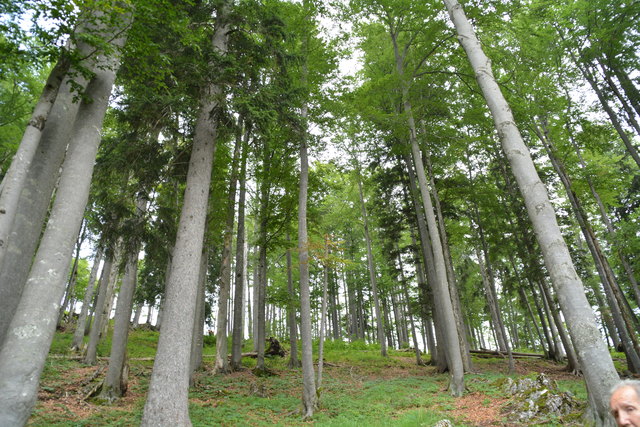 Tour auf den Scheiblingstein: Redakteur Roland Mayr war mit unserem wandernden Regionauten Franz Sturmlechner unterwegs.
