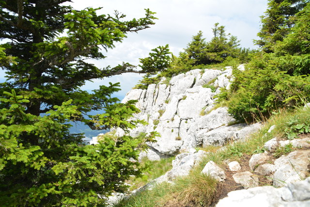 Tour auf den Scheiblingstein: Redakteur Roland Mayr war mit unserem wandernden Regionauten Franz Sturmlechner unterwegs.