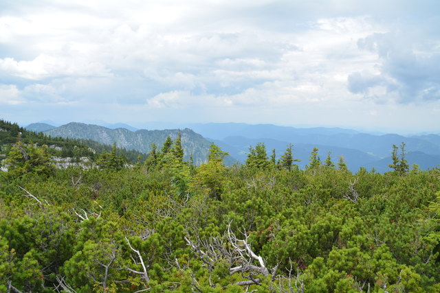Tour auf den Scheiblingstein: Redakteur Roland Mayr war mit unserem wandernden Regionauten Franz Sturmlechner unterwegs.