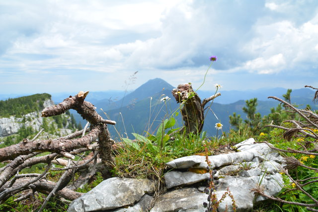 Tour auf den Scheiblingstein: Redakteur Roland Mayr war mit unserem wandernden Regionauten Franz Sturmlechner unterwegs.