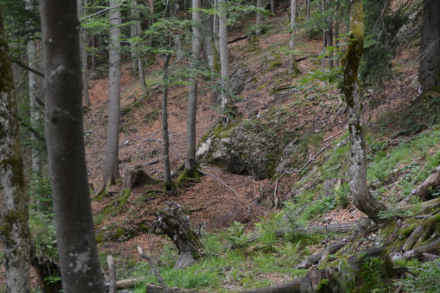 Tour auf den Scheiblingstein: Redakteur Roland Mayr war mit unserem wandernden Regionauten Franz Sturmlechner unterwegs.