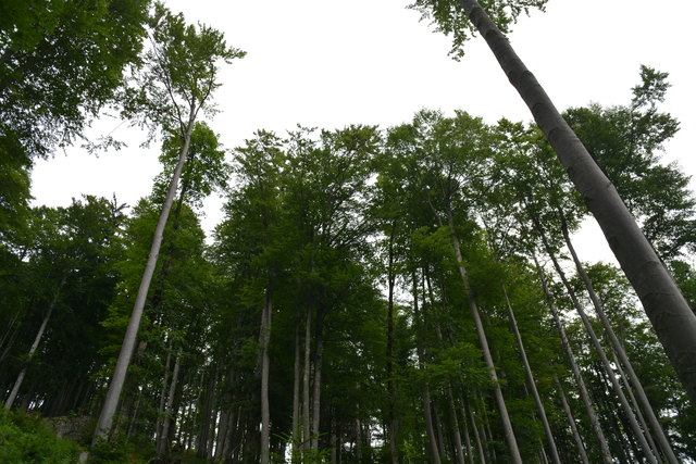 Tour auf den Scheiblingstein: Redakteur Roland Mayr war mit unserem wandernden Regionauten Franz Sturmlechner unterwegs.