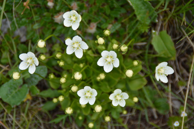 Tour auf den Scheiblingstein: Redakteur Roland Mayr war mit unserem wandernden Regionauten Franz Sturmlechner unterwegs.