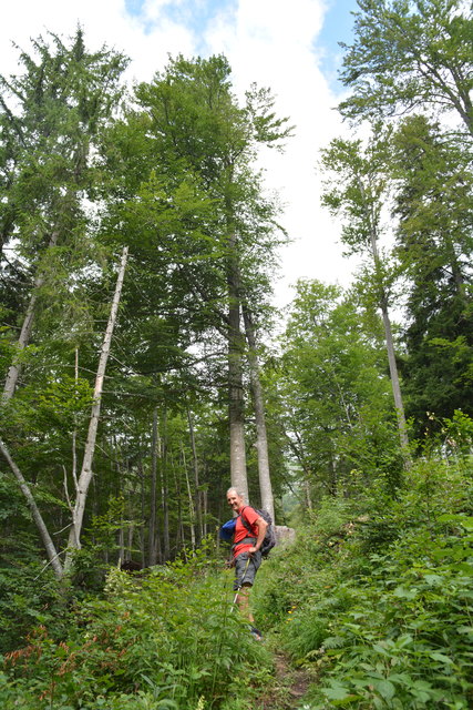 Tour auf den Scheiblingstein: Redakteur Roland Mayr war mit unserem wandernden Regionauten Franz Sturmlechner unterwegs.