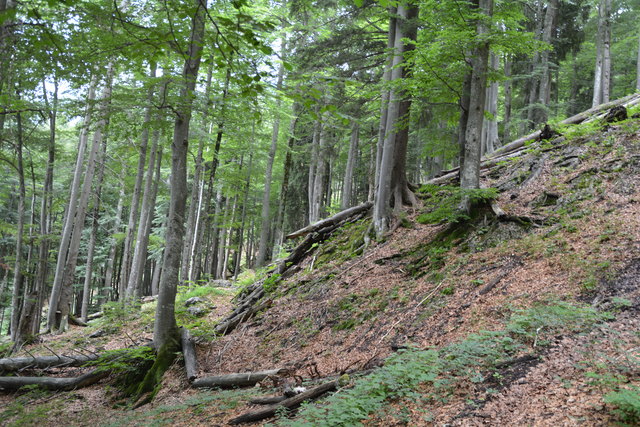 Tour auf den Scheiblingstein: Redakteur Roland Mayr war mit unserem wandernden Regionauten Franz Sturmlechner unterwegs.