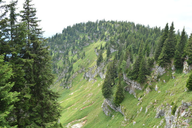 Tour auf den Scheiblingstein: Redakteur Roland Mayr war mit unserem wandernden Regionauten Franz Sturmlechner unterwegs.