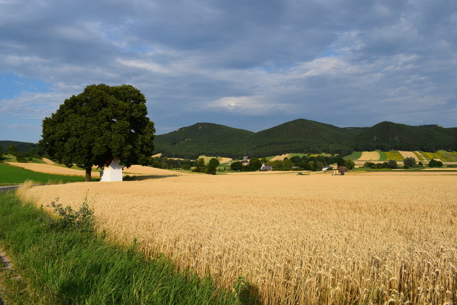Entspanntes Wandern in der Marktgemeinde Winzendorf-Muthmannsdorf am Fuß der Hohen Wand