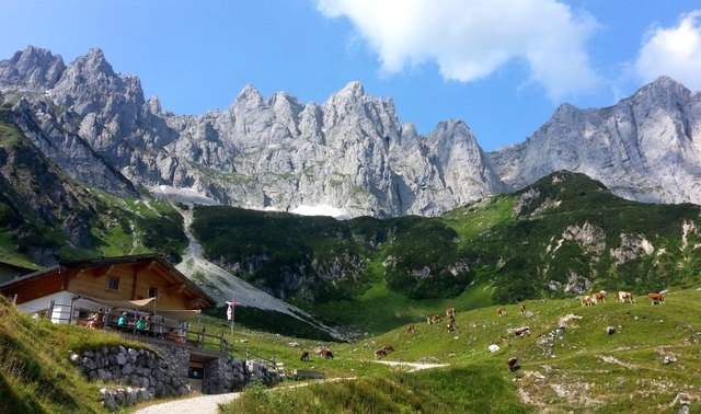 Regalm, Going. | Foto: TVB Wilder Kaiser