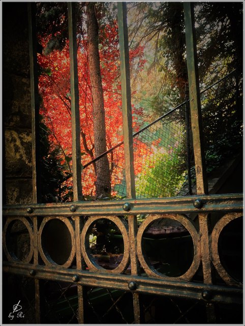 Abendstimmung erst am vergangenen Donnerstag :-)