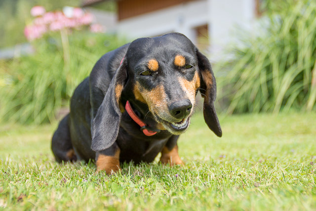 ....schmeckt......:)