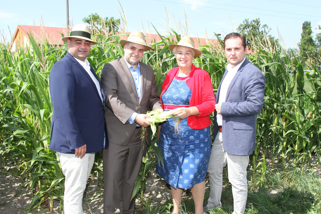 Über die aktuellen Herausforderungen in der Landwirtschaft informierten Hannes Mosonyi (Obmann Landesgremium Agrarhandel), Matthias Grün (Geschäftsführer Pannatura GmbH), Agrarlandesrätin Verene Dunst und Bioproduzent Johann Pinczker