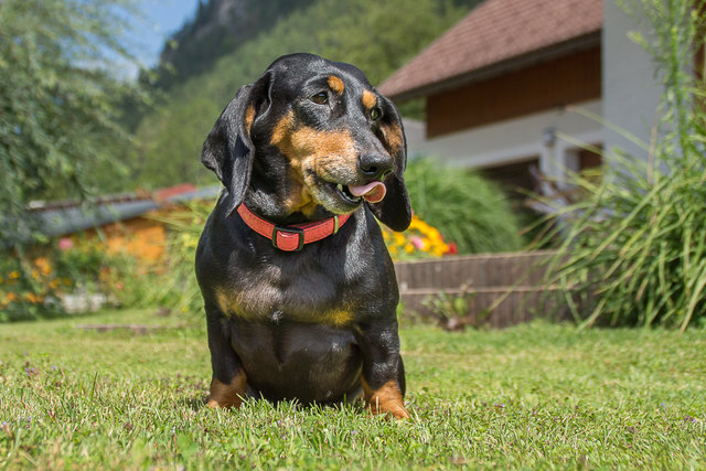 ....gibt´s noch was?.....