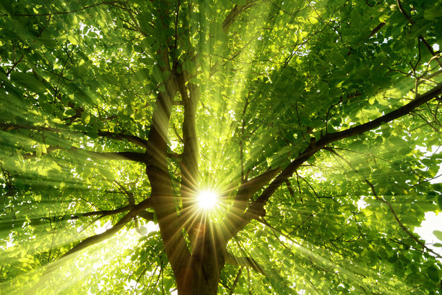 Foto: Fotolia/Smileus