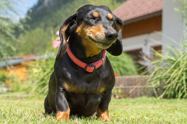 ...mhhhh.....Summerfeeling....