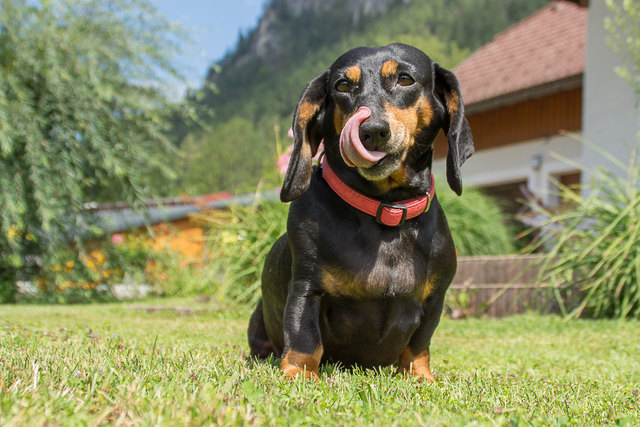 ....ja....ich denke schon ;)....