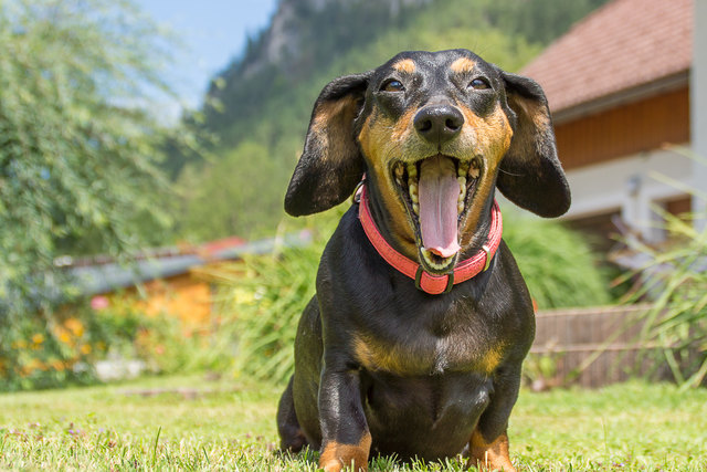 ....macht müde......