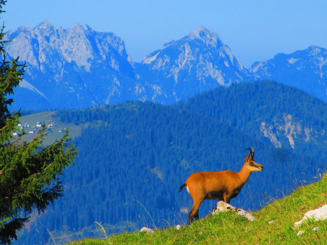 ein herrlicher An- und Ausblick früh morgens am Dobratsch