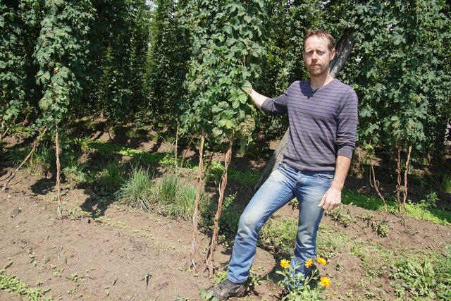 Albert Starlinger informiert über seinen erfolgreichen Anbau von Mühlviertler- Biohopfen