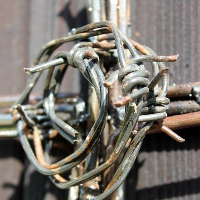 Gitarrenvirtuosen und offene Tür am Kunstarbeit-Hof - Weiz