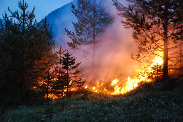 Aufgrund der Hitze und großen Trockenheit besteht in Tirol derzeit erhöhte Waldbrandgefahr. | Foto: zeitungsfoto.at - Symbolbild