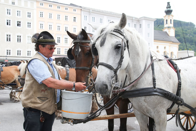 Fiaker Fredl von der Fiakerei Süß gibt seinen Pferden vor der nächsten Runde noch zu trinken. | Foto: Franz Neumayr/SB