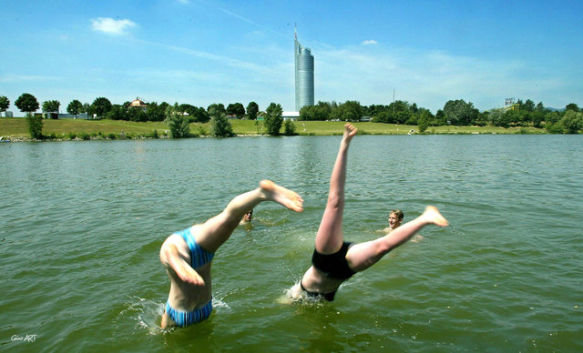 Erfrischend: Ein Sprung in die Neue Donau. | Foto: GUENTER R. ARTINGER