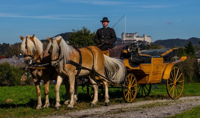 Franz Winter mit seiner Kutsche in der Dämmerung vor der Festung Hohensalzburg. | Foto: Franz Winter