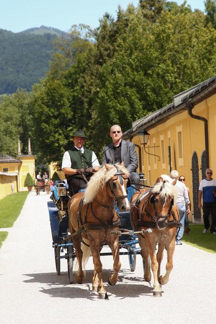 Die Fiaker machen auch Ausflüge zum Schloss Hellbrunn. | Foto: Franz Neumayr