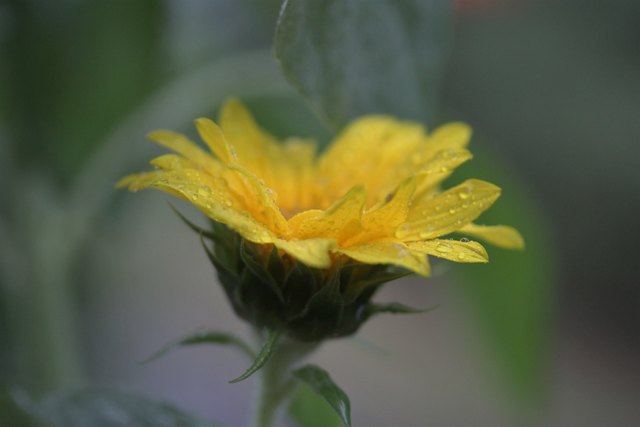 ...nach dem Sturm und Regen von gerade eben....