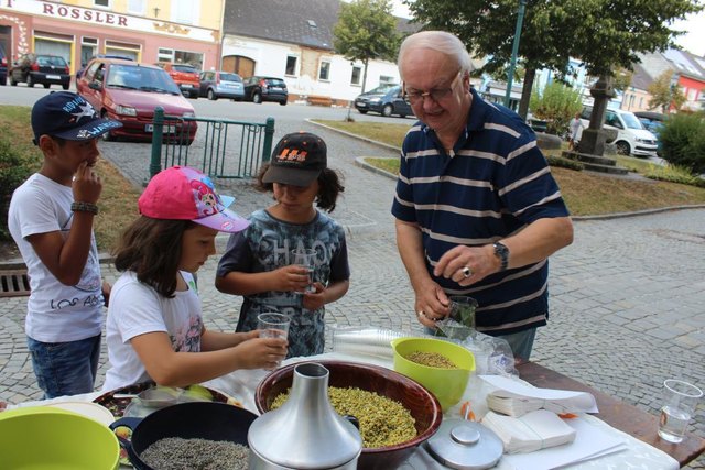 Herr Mag. Fürnkranz führte in die Geheimnisse es Teemischens ein