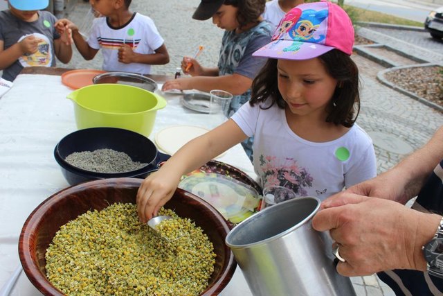 volle Konzentration bei der Teemischung