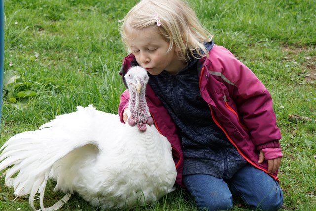 In der kommenden Woche gibt’s das neue Kinderprogramm im  AnimalTrainingCenter in Hitzendorf. | Foto: AnimalTrainingCenter