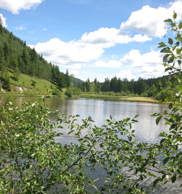 ....wie hier am Hubertussee in der Walster!