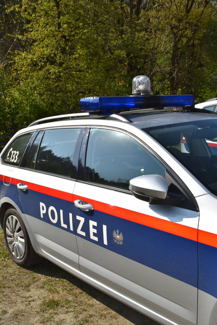 In einem Hausgarten vor einem Holzstapel kam das Fahrzeug schließlich zum Stillstand | Foto: KK