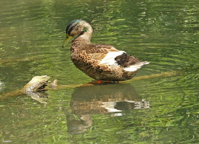 Spieglein, Spieglein.......