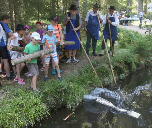 Viele Nachwuchsschwemmer warfen begeistert Scheiter ein und  fischten sie auch wieder 
heraus | Foto: Foto: Gattermayer