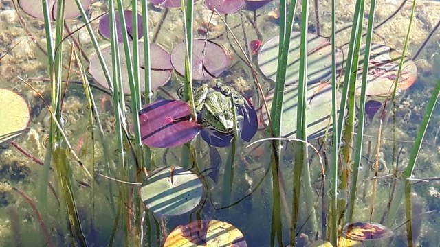 Ein wunderschöner Rastplatz