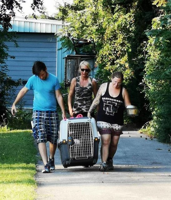 Das Team der Hunde-Such-Hilfe konnte die Hündin einfangen. | Foto: Hunde-Such-Hilfe