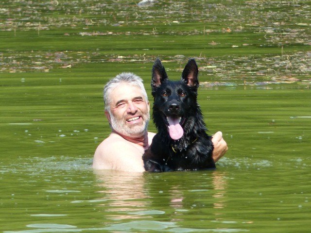 CIRA von der WOLFSKRALLE genießt die Sommerpause am Hundeabrichteplatz und liebt das Baden mit ihrem Herrl