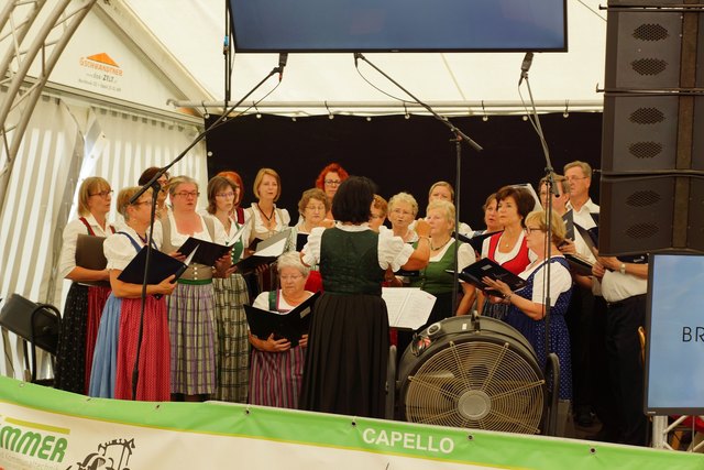 ...der Kirchenchor Pichl bei Wels...