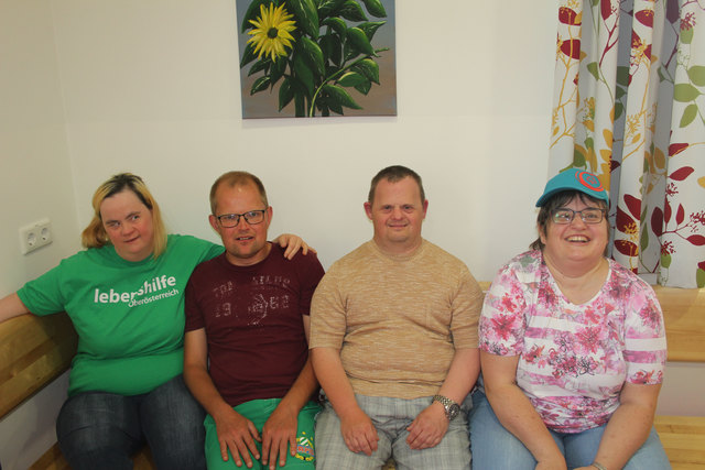 Sie treten in der aktuellen 4-Jahres Periode für die Interessen von Menschen mit Beeinträchtigung ein: Marlies Schatz, Mario Hahn, Hannes Breuer und Ulrike Weißengruber