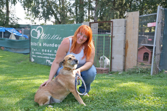 Sandra Stibi und "Knutschkugel" Carra. Sie sucht gemeinsam mit 15 weiteren tierischen Freunden eine neue Bleibe.