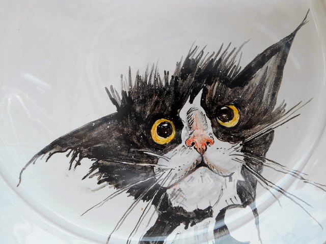 Ein bemalter Teller in einer Pinkafelder Auslage. Signiert mit camü.