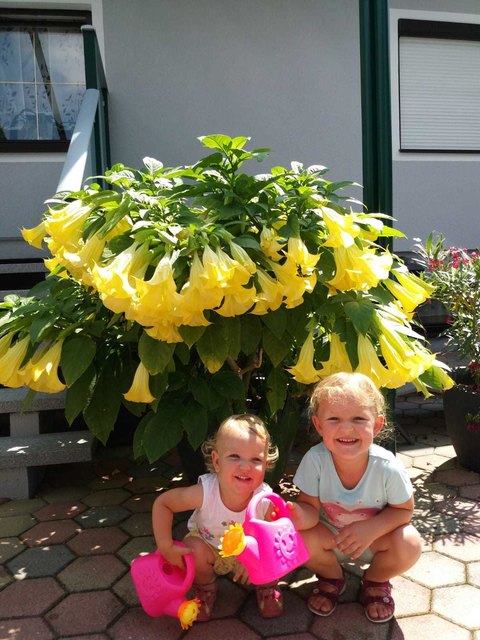 Christl Strondl aus Albrechts freut sich über die Blumenpracht in ihrem Garten. Ihre Enkelinnen Laura und Nina helfen fleißig beim Gießen.
