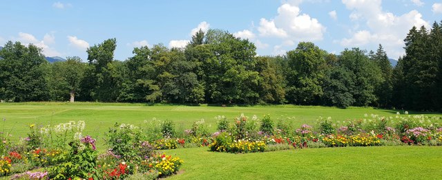 Ich bin immer wieder von der Arbeit unserer Stadtgärtner begeistert.
